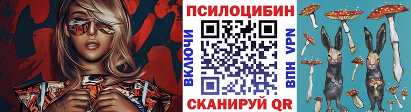 omg ONION  Джанкой  Галлюциногенные грибы прущие грибы 