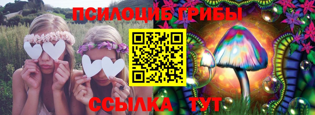 Галлюциногенные грибы Cubensis  купить  сайты  Джанкой  Вход с VPN  Галлюциногенные грибы Cubensis 